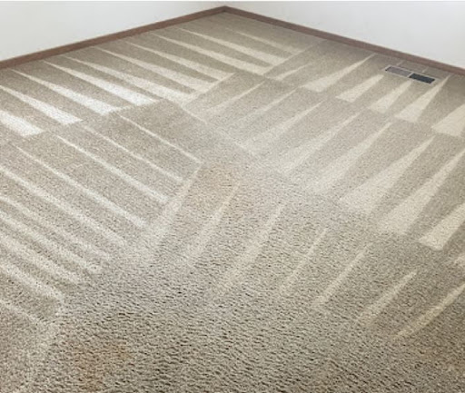 Images Sierra Carpet & Upholstery Cleaning