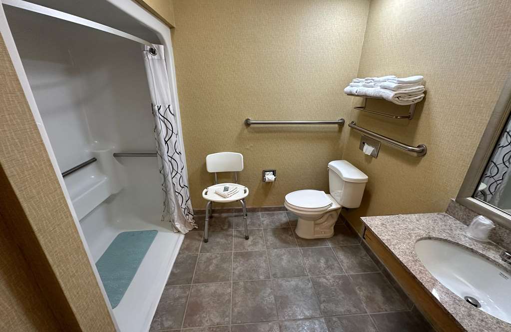 ADA Bathroom Roll In Shower