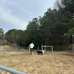 Sniffspot Yolistone Image