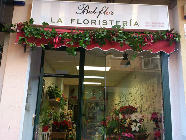 Fotos de Bel-flor  La Floristeria