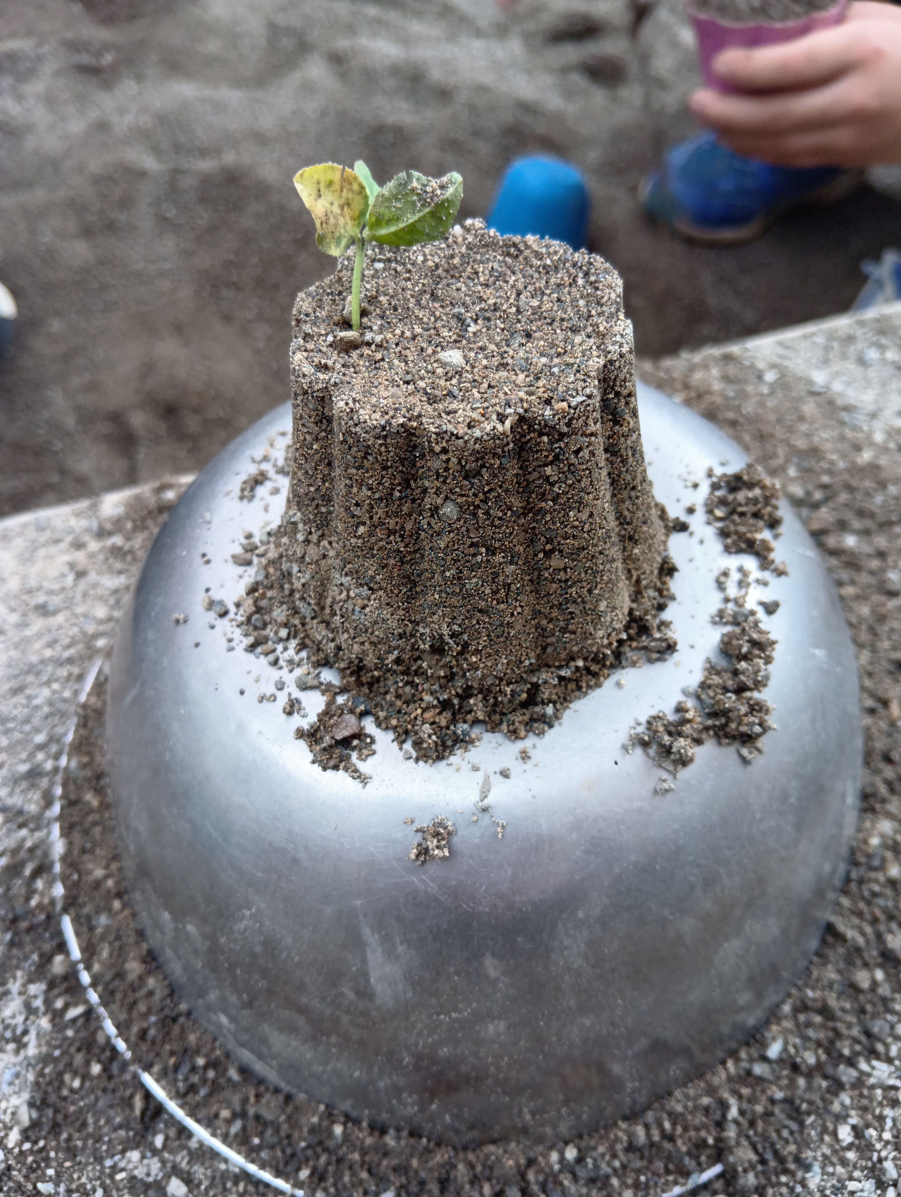 Images 幕張本郷すきっぷ保育園