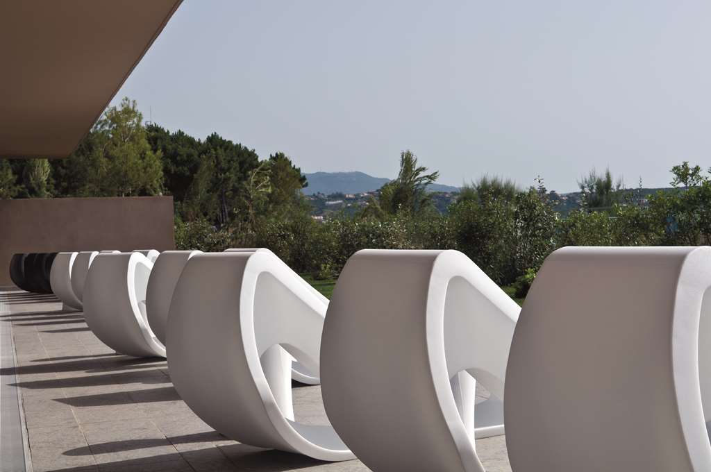 Terrace Terrace