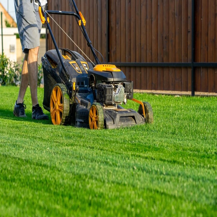 Images Melecio Landscaping