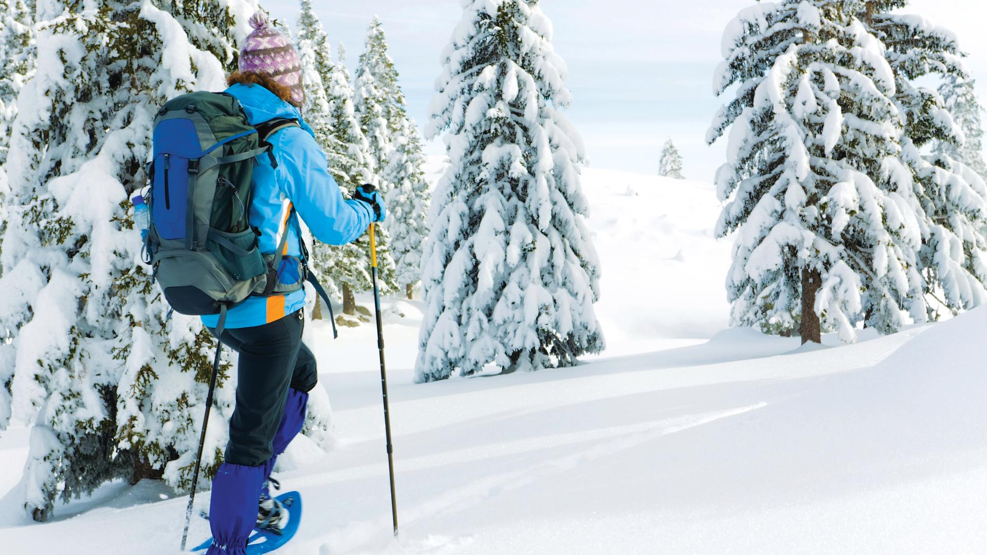 Winter sports at Crystal Mountain or The Summit at Snoqualmie Ridge are only an hour away