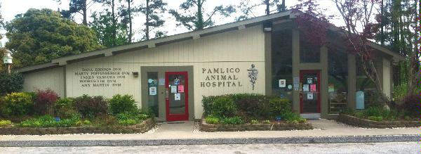 Pamlico Animal Hospital Coupons near me in Washington ...