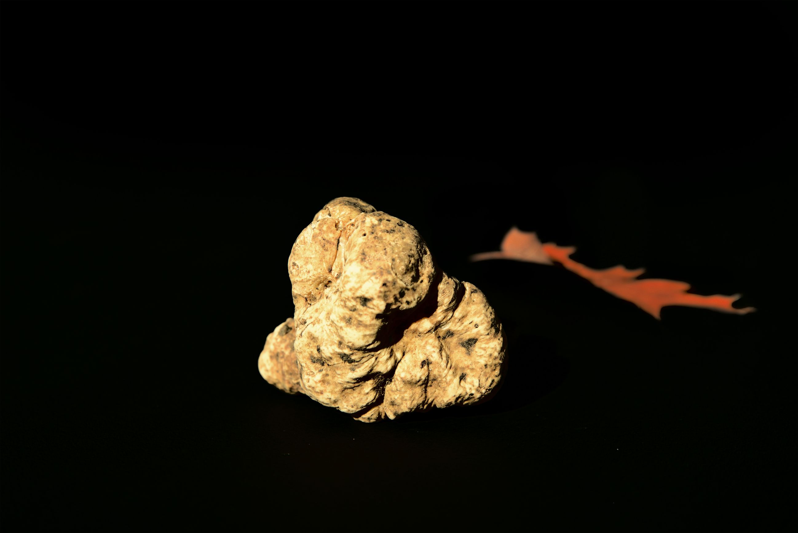 Le Trüf Innovation AG, Hauptstrasse 16 in Kreuzlingen