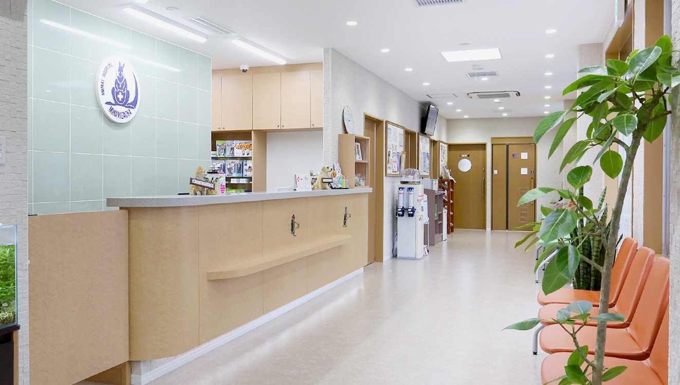 Images 南が丘動物病院