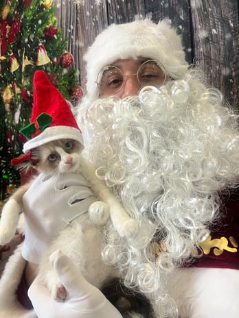 Images VCA Oak Hills Animal Hospital