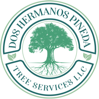 Dos Hermanos Pineda Tree Services LLC