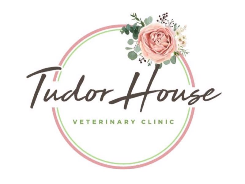 Images Trusted Vets Formally Tudor House Veterinary