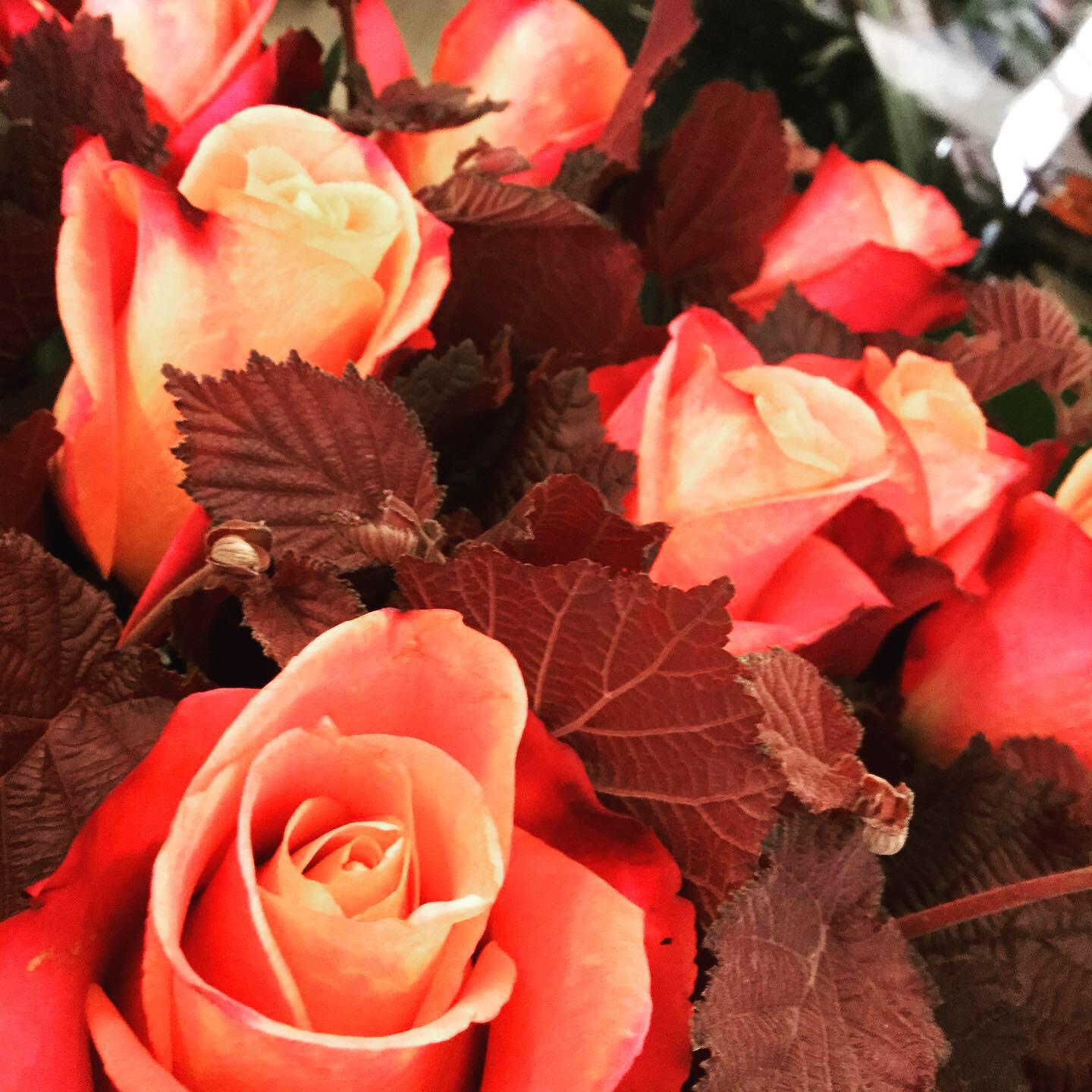 Bilder Fleuriste de la Halle