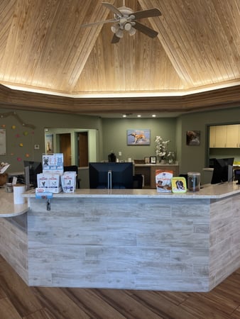Images VCA Sanibel Animal Hospital
