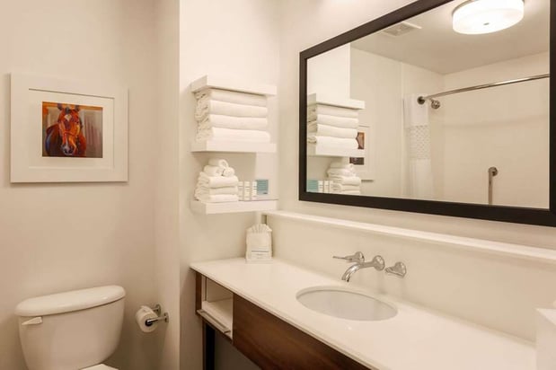 Images Hampton Inn Memphis-Southwind