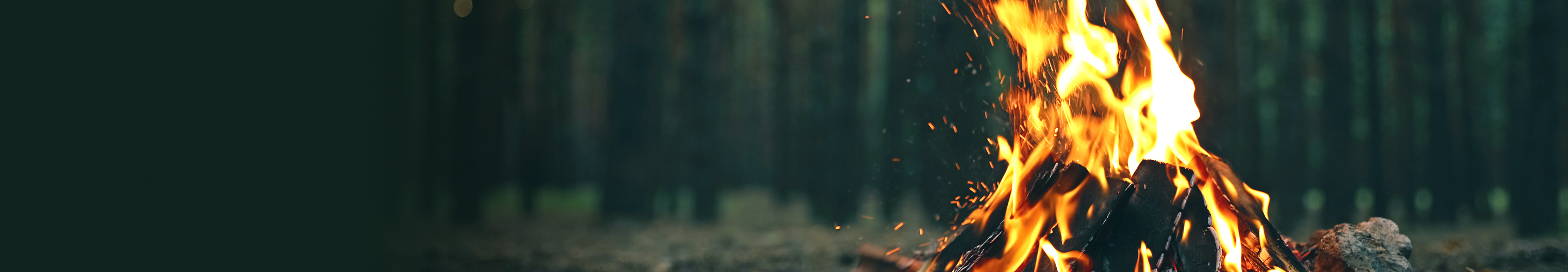Close-up of a campfire in the forest.