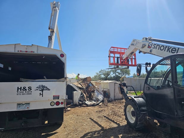 Images H & S Tree Care