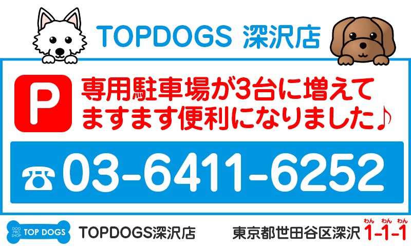 Images TOPDOGS本店 トップドッグス