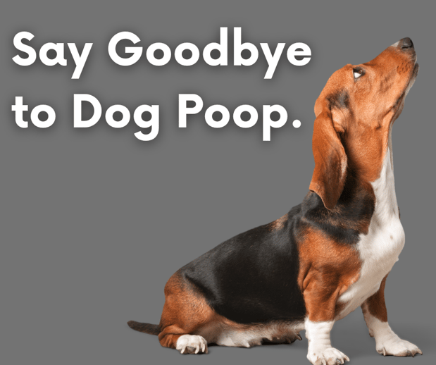 Images Oop Scoop Pet Waste Removal