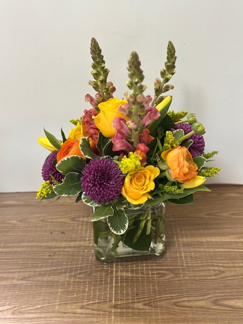 Images Jane's Roses & Flowers