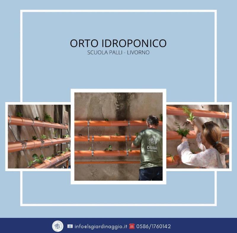 Images Les Giardinaggio