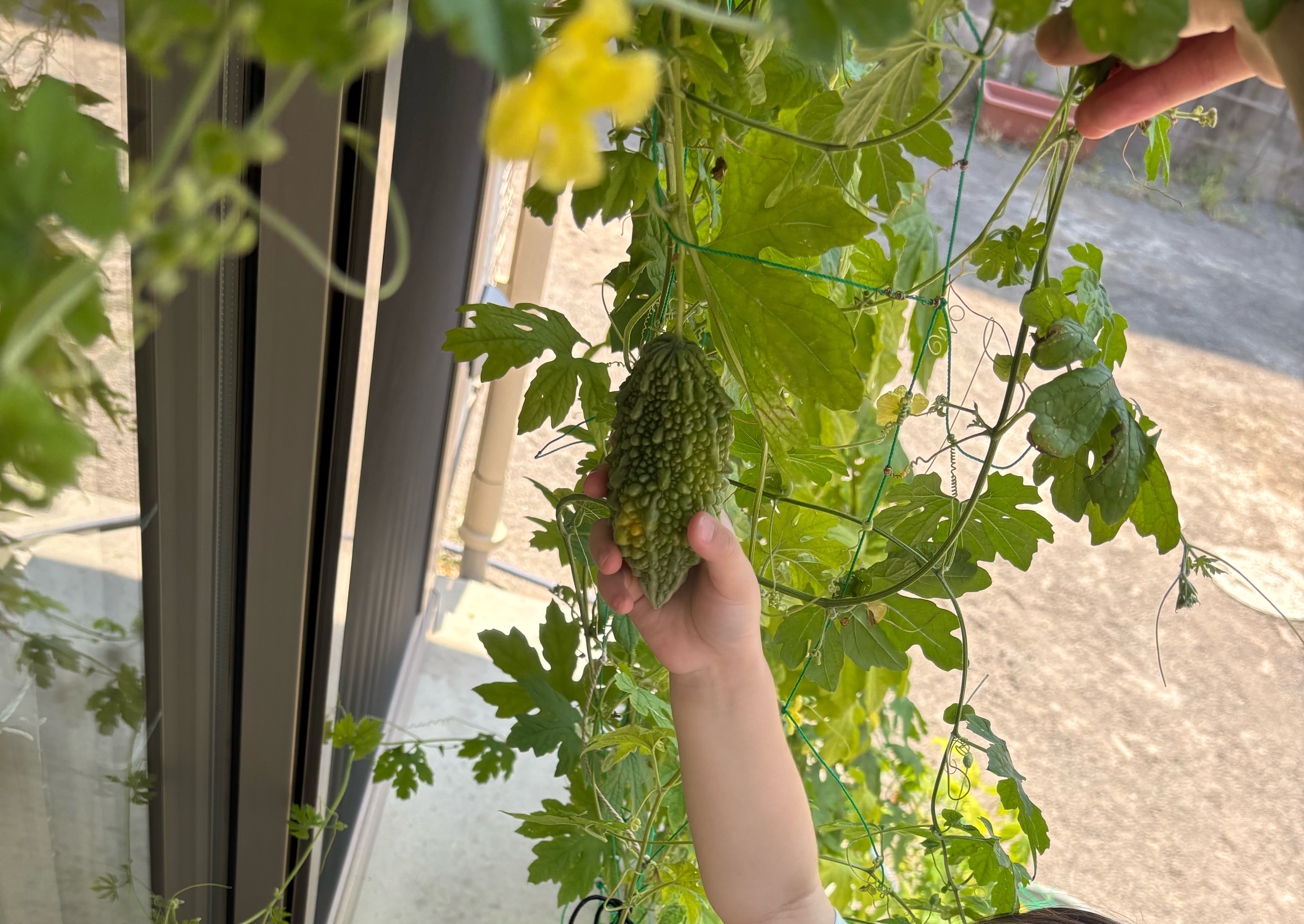 Images 幕張本郷すきっぷ保育園