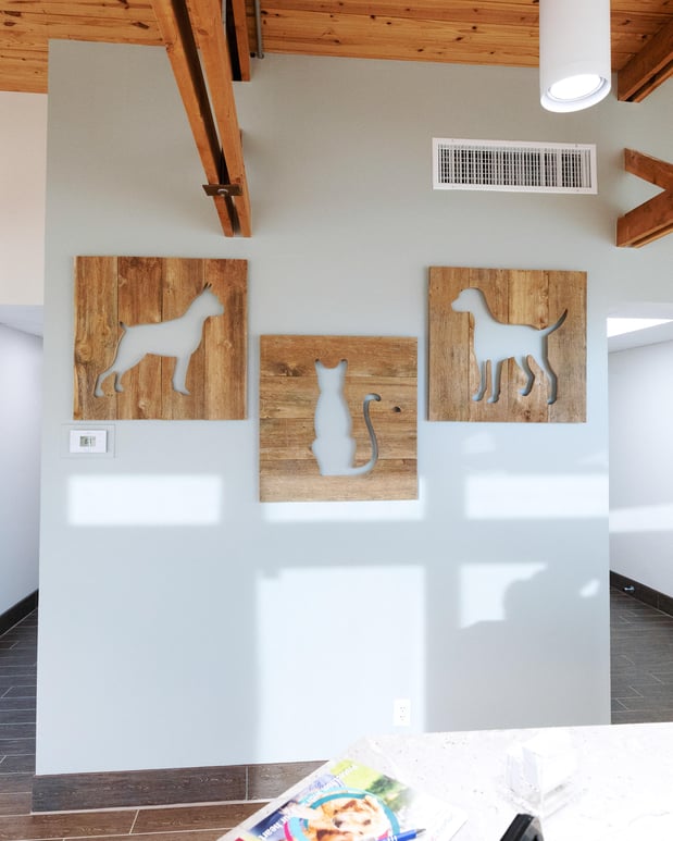 Images Solomon Veterinary Clinic