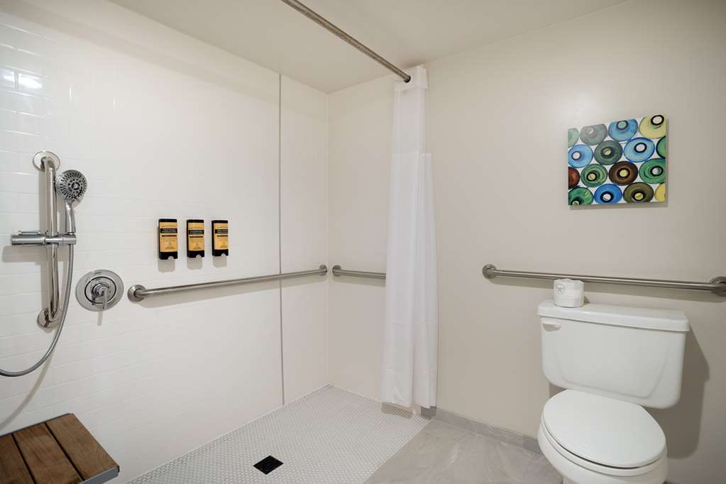 Roll insingle queen ada