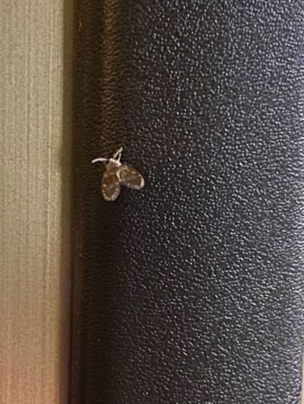 Images GW Exterminating Company
