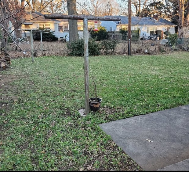 Images Cooks Lawn Care Service