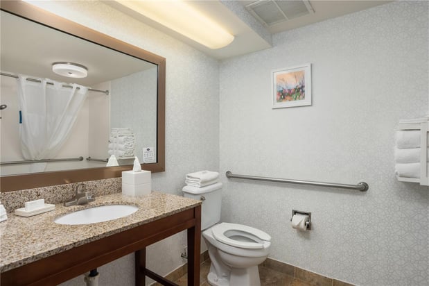 Images Hampton Inn Carrollton