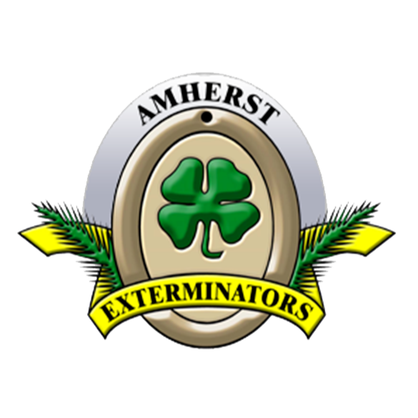 Amherst Exterminators