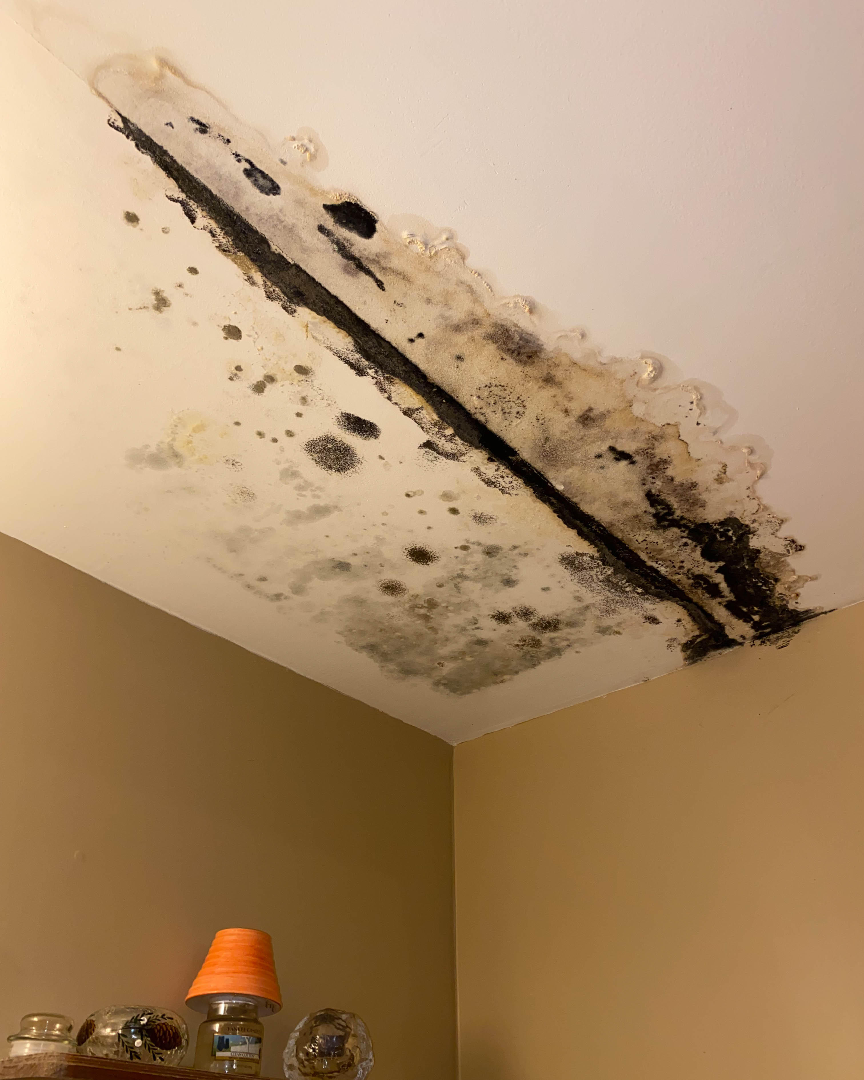 Restore your property to a mold-free condition with SERVPRO's expert mold damage restoration services. Give SERVPRO of Providence a call toay!