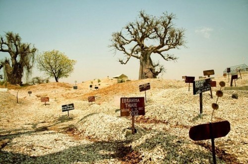 Images Agenzia Viaggi Dionisi Tour