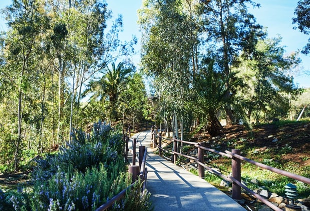 Images Thousand Trails Pio Pico