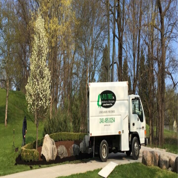 AWD Tree Service Inc. Logo