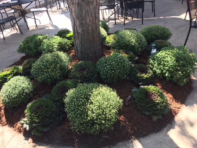Images Landscaping Express First Inc.