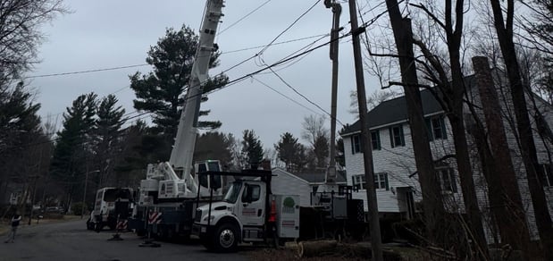 Images Martel Crane Service & Tree Removal