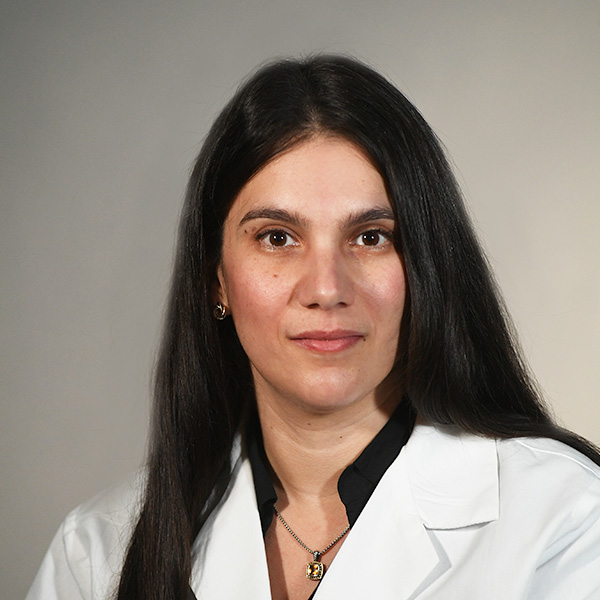 Dr. Lauren A Lamura, PA