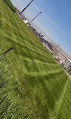 OCD Lawn Image