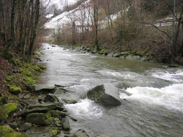 Landhotel Forsthof, Neustraße 29 in Sierning