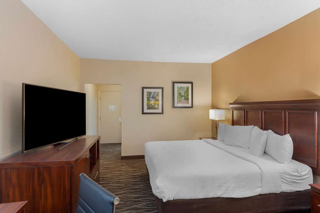 ADA King Guest Room