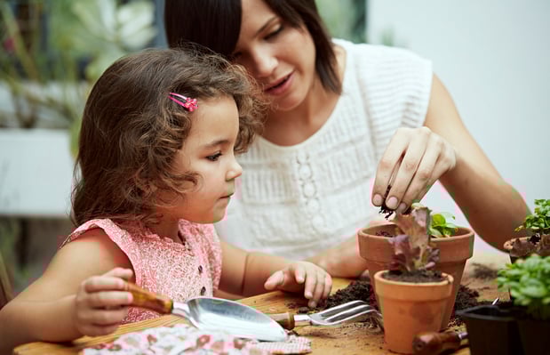 Images Towns at Bell Works