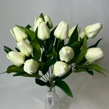 Images Village Green Wholesale Ltd