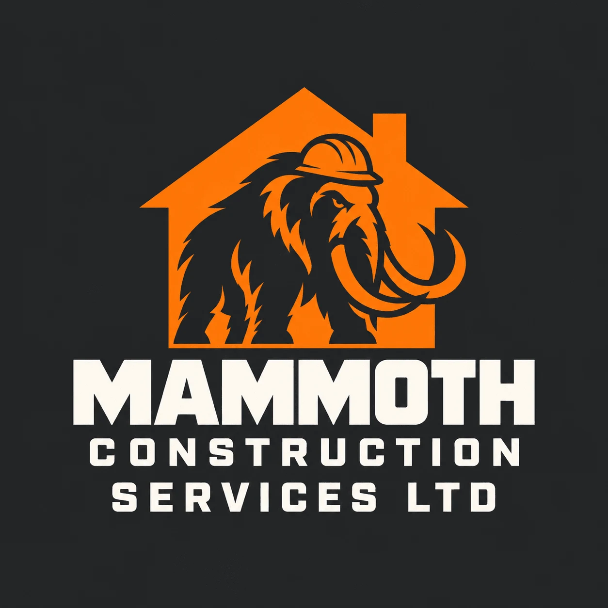 company logo