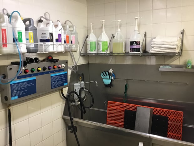 Images Petco Grooming