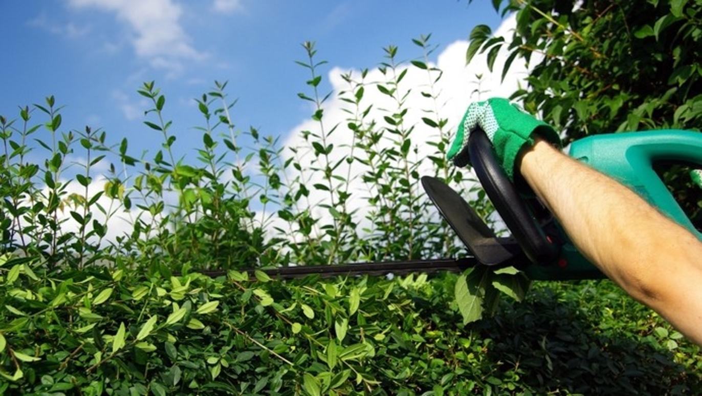 Images Stendal Anlægs- & Haveservice