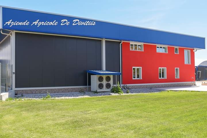 Images Aziende Agricole De Divitiis