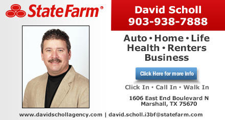 Images David Scholl - State Farm Insurance Agent
