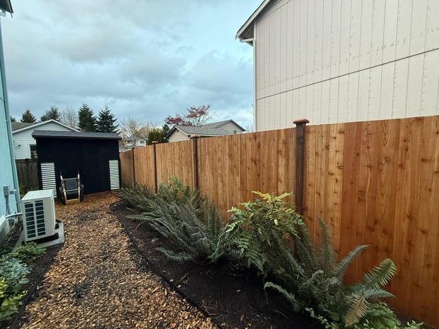 Images Tidy Beaver Fencing - Fence and Gate Contractor