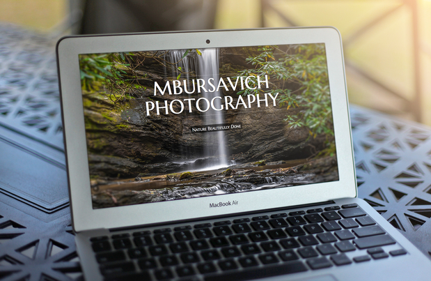 Images Blue Lion Digital