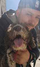 Images Downtown Brooklyn Pet Care